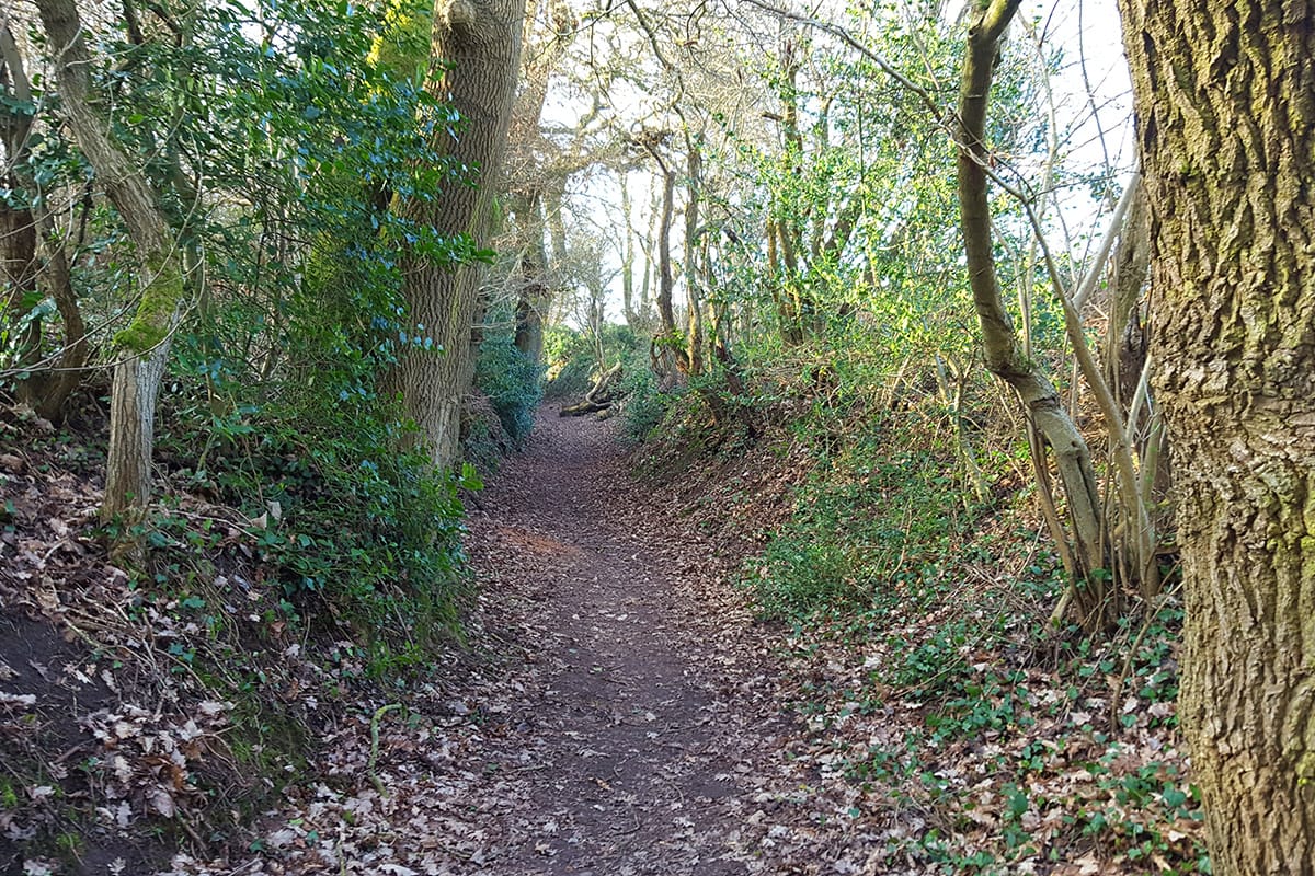 Path 74 from Hob Hey Wood up to Townfield Lane in Frodsham