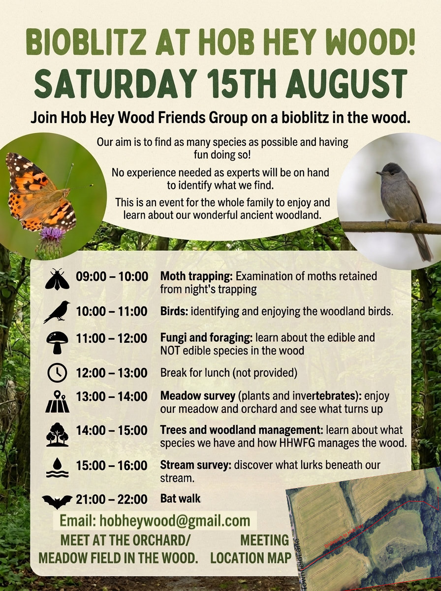 Bioblitz at Hob Hey Wood
