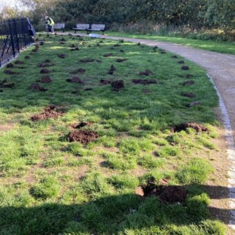 Bulb planting at Frodsham Memorial 2